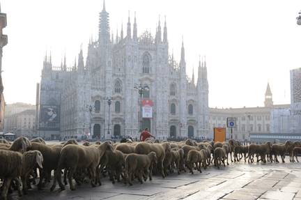 Une image contenant plein air, ciel, bâtiment, troupeau
Description générée automatiquement